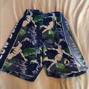 Flow Society Blue Shorts (Kids)